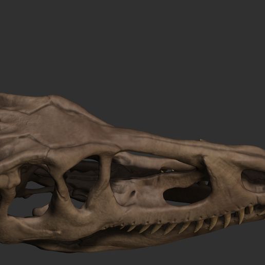 ZBrush-Document14.jpg Dilophosaurus-Schädel