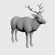 2.jpg moose