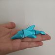 20240210_110908.jpg Flexi Dolphin - fidget toy