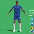 Enzo_1.jpg 3D Rigged Enzo Fernandez Chelsea 2024