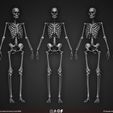 Female-Human-Skeleton-3D-Model-sculpted-by-Yacine-BRINIS-002.jpg Highly Detailed Human Skeleton (Female)