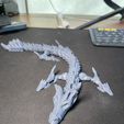 IMG_4246.jpg Skull Dragon Print in Place