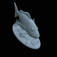 Dentex-statue-1-43.png fish Common dentex / dentex dentex statue underwater detailed texture for 3d printing
