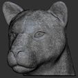 22.jpg Lioness head for 3D printing