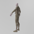 Momia0013.png The Mummy Lowpoly Rigged