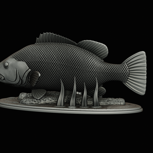 Peacock-Bass-statue-1-3-27.png FISH in motion Peacock bass (Cichla ocellaris) fish natural base detailed texture for 3d printing