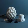02.jpg Table lamp “Esculenta Fungus”