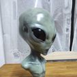 IMG_20220312_002341.jpg GREY ALIEN BUST MODEL