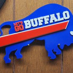 20230131_210120.jpg Let's Go Buffalo Emblem