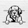 murbrique.jpg Clumber Spaniel dog wall decoration