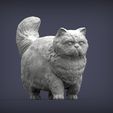 Persian-cat2.jpg Persian cat 3D print model
