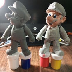 MARIO BROS FLEXI PRINT IN PLACE