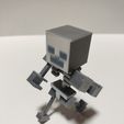 IMG_20221121_105038.jpg removable Minecraft skeleton