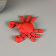 IMG_5057.jpg Crabe mignon articulé