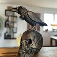 Vogel-Totenkopf.jpeg Skull with raven eyes closed - hollow inside