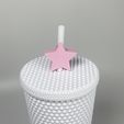 IMG_2079.jpg Star Straw Topper, Straw Cover Stanley Cup, Star Straw Buddy Gift for Tumblers, 3 Sizes