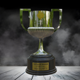 foto-1.png Spanish Cup Trophy
