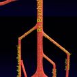 PS0019.jpg Human arterial system schematic 3D