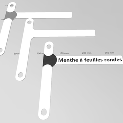 om 50 10d 50m 100 m, 150 mm 200 mm 250 mm ee) Menthe a feuilles rondes 300n Download STL file Tongues with hooks • 3D printer design, 3dfgbzh