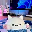 FB085980-5227-4412-87B4-535A365930B2.jpeg Cute Blob Cats