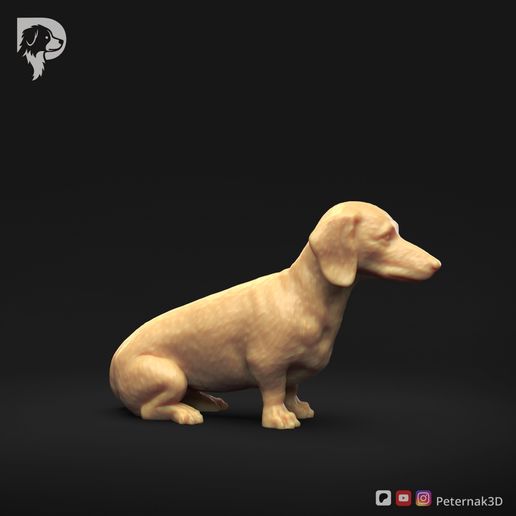Dachshund-Miniature-Smooth-Haired-Pose-04-Dog-3D-Print-2s.jpeg Dachshund Miniature Smooth Haired Pose 04