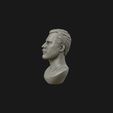 11.jpg Freddie Mercury 3D printable portrait