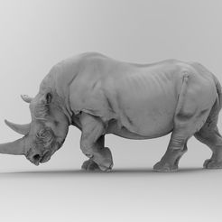 untitled.2182.jpg rhino