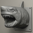 b_Ultra-detailed_wall-1.png Cabeza de tiburón blanco de pared