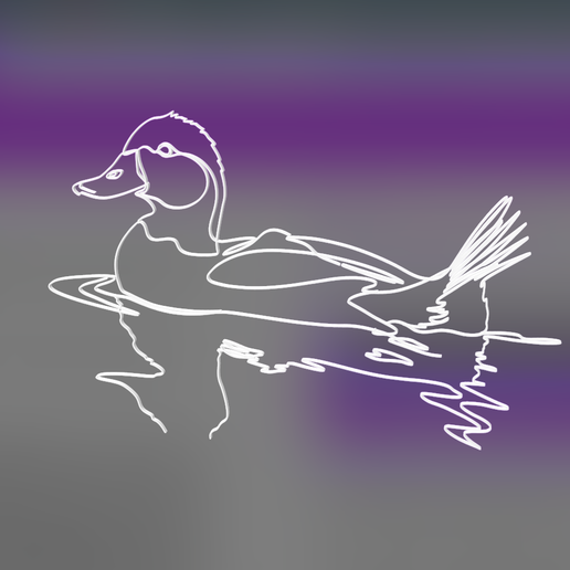 Blue-billed Duck 1 lineart 3d printed