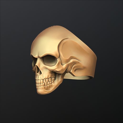 564dasc321zdsdsad564asd465.jpg Modelo de impresión 3D Skull Ring Version 2