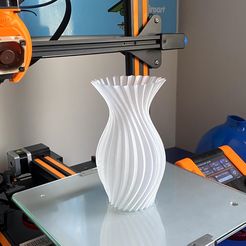 IMG_4206.jpg Twisted Vase M4