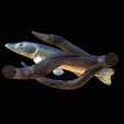 pike-high-quality-1-7.png big old pike underwater statue on the wall detailed texture for 3d printing