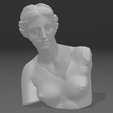 Screenshot-2023-06-12-205037.png Venus de Milo Head Bust