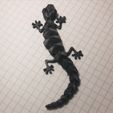 Articulated Lizard v2