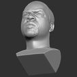 24.jpg Ice Cube bust 3D printing ready stl obj formats