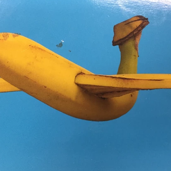 banana.png Banana with wings