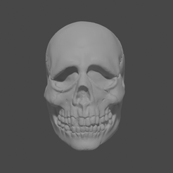skull_mask_front.png Halloween 3 Skull Mask