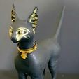 Egyptian Cat