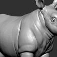 Rhino (1).jpg Rhino