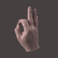 3.png HUMAN HAND SCANED 2