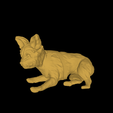 model-7.png DOG - YORKIE- DOG LAYING - CUTE DOG - PUPPY - PUPPIES - PUP - YORKSHIRE TERRIER
