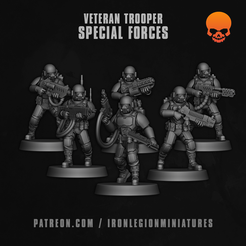 Main.png Veteran Troopers - Special Forces