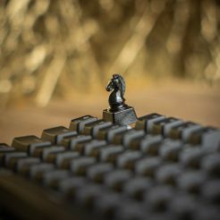 il_fullxfull.4471243730_8ktp.jpg Fichier STL Chess Horse Knight Artisan Keycap Pour Claviers Mécaniques avec MX Cherry , Kailh , Gateron , Razer switches・Design pour imprimante 3D à télécharger