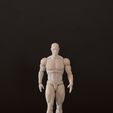 04s.jpg Articulated Action Figure 2.0