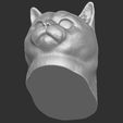 17.jpg British Shorthair cat head for 3D printing