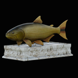 golden-dorado-statue-box-1-2.png fish golden dorado / Salminus brasiliensis with storage space / for 3d printing