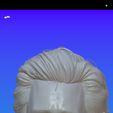 1000146490.jpg Jim Carrey bust