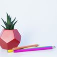 P2160293.jpg Файл STL Dodecaedro planter・Модель для загрузки и 3D печати