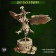 resize-elf-eagle-rider-04.jpg Eagle Rider - High Elves