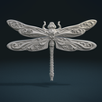 Dragonfly_Cycles-0001.png Dragonfly Relief
